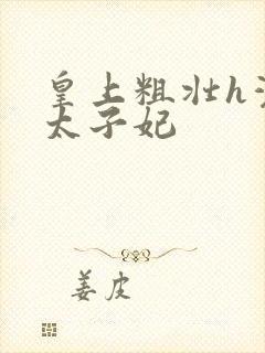 皇上粗壮h灌满太子妃