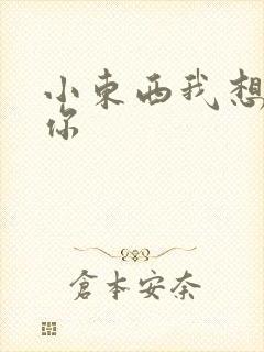 小东西我想弄坏你