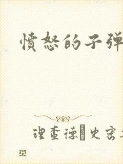 愤怒的子弹封面