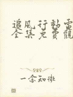 追风行动电视剧全集免费观看