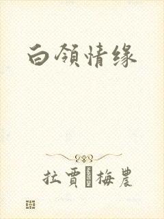 白领情缘