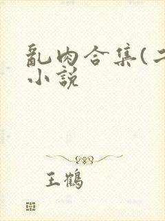 乱肉合集(二)小说