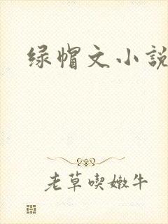 绿帽文小说