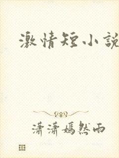 激情短小说封面
