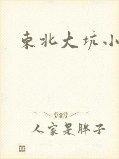 东北大坑小说