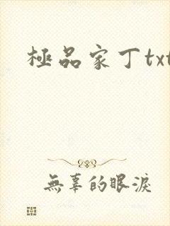 极品家丁txt