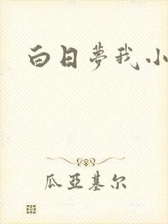 白日梦我小说
