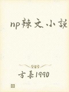 np辣文小说
