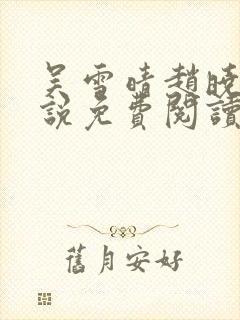 吴雪晴赵晓东小说免费阅读封面