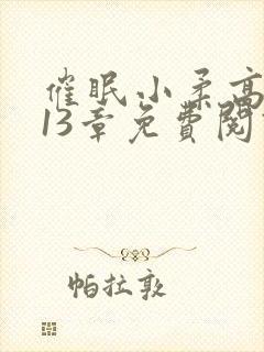 催眠小柔高达第13章免费阅读