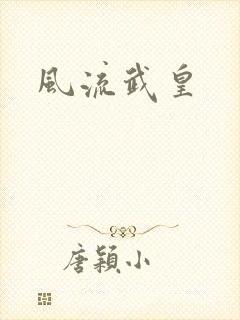 风流武皇封面