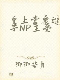 皇上当众进入太子NP主受