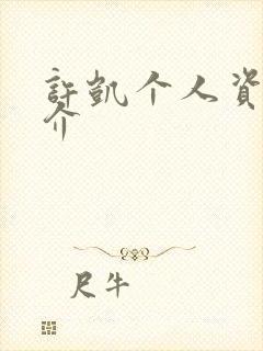 许凯个人资料简介