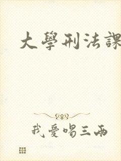 大学刑法课封面