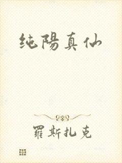 纯阳真仙