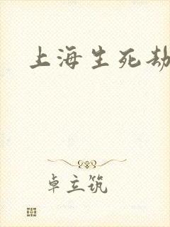 上海生死劫封面
