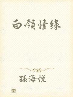白领情缘封面