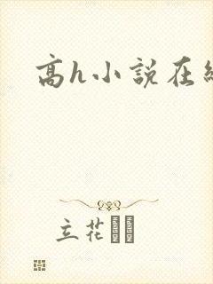 高h小说在线看