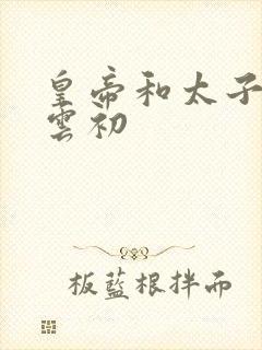 皇帝和太子妃h云初封面