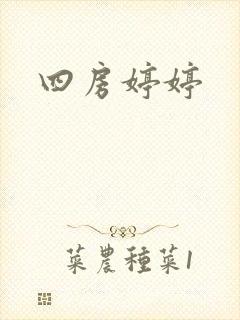 四房婷婷封面