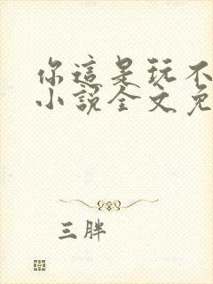 你这是玩不起呀小说全文免费阅读封面