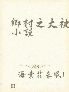 乡村之大被同眠小说