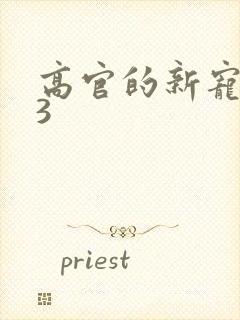 高官的新宠1V3封面
