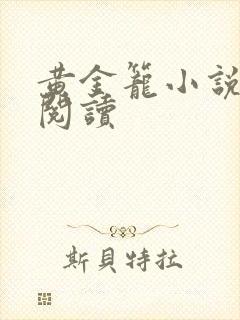 黄金笼小说免费阅读封面