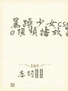 暴躁少女csgo视频播放器推荐