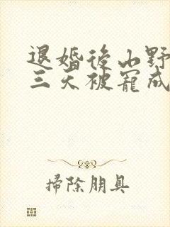 退婚后山野糙汉三天被宠成宝小说封面