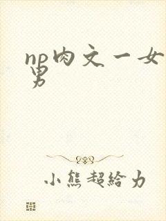 np肉文一女多男封面