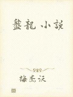 盘龙 小说