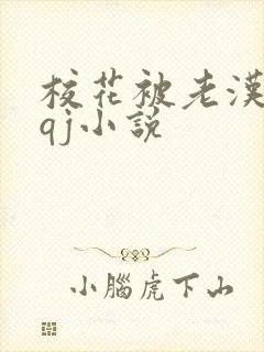 校花被老汉狂肉qj小说