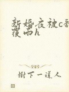 新婚夜被c翻云覆雨h封面