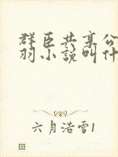 群臣共享公主银羽小说叫什么封面