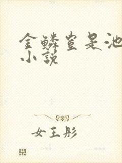 金鳞岂是池中物小说封面