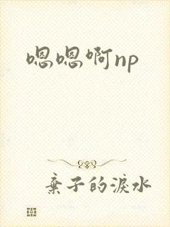 嗯嗯啊np封面