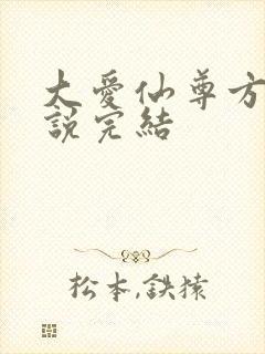 大爱仙尊方源小说完结