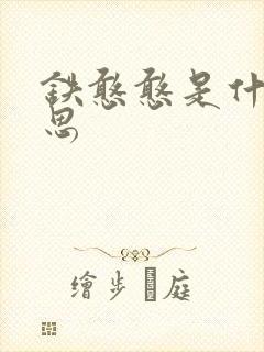 铁憨憨是什么意思封面