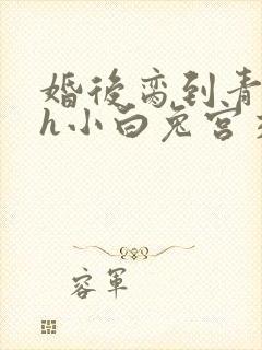 婚后脔到青梅哭h小白兔宫交h