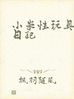 小米性玩具羞辱日记