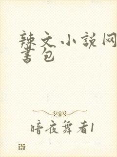 辣文小说网第二书包封面