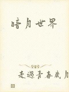 暗月世界