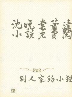 沈晚棠萧清渊的小说免费阅读