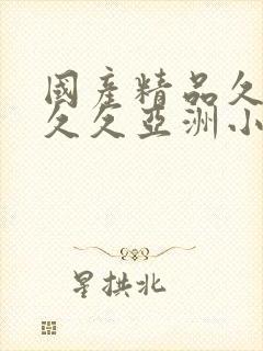 国产精品久久久久久亚洲小说