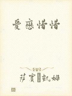 爱恋惜惜封面