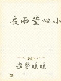 夜雨莹心小说