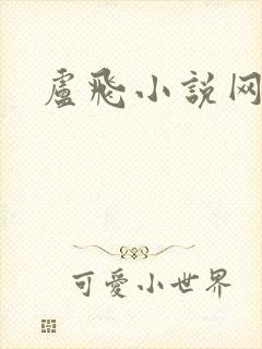 卢飞小说网