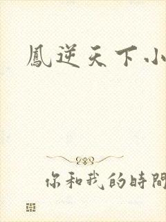 凤逆天下小说封面