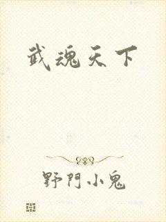 武魂天下